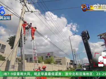 高空救援：维修工中暑昏迷，命悬5米高电线边缘