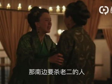 朝雪录：杨仕泽疯批之谜